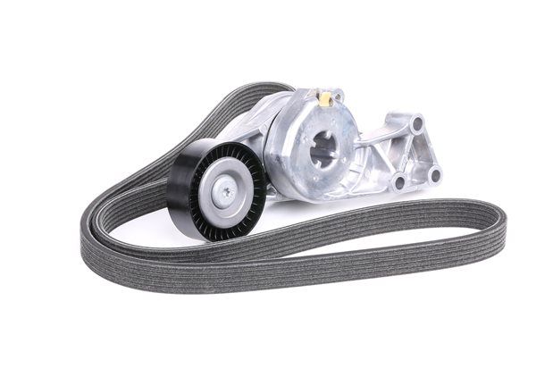 SKF VKMA 31204 costo cinghia dei servizi SKF