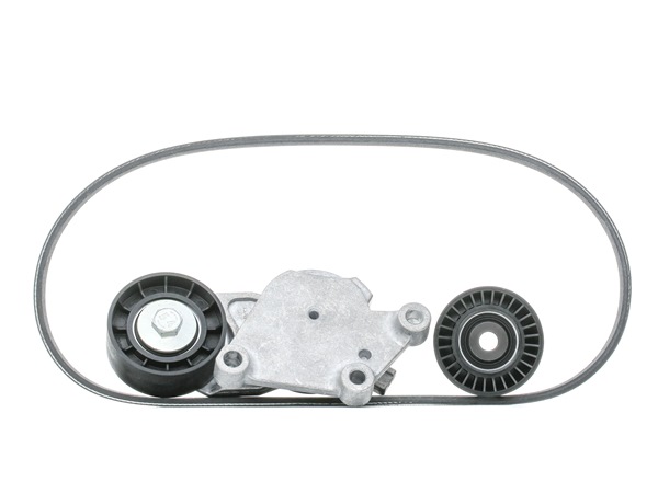 originale Ford C-MAX SKF Kileribberem VKMA 33058