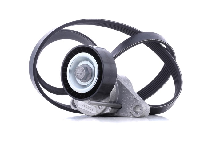 SKF VKMA 33074 CITROЁN C4 Multireim sett pris