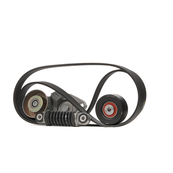 SKF VKMA 33075 Kit de courroie d'accessoire RENAULT LAGUNA