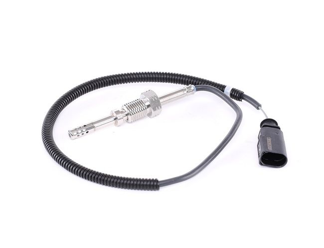 RIDEX 3938E0110 Abgastemperatursensor VW Multivan 5 (7HM 1.9 TDI 102 PS Diesel 2007