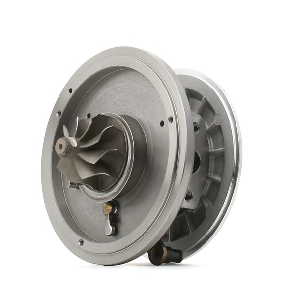 4973C0006 RIDEX Turbo FORD FOCUS