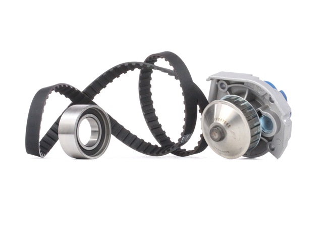 SKF Bomba de agua + kit de correa de distribución VKMC 02200