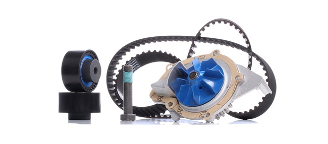 30725831 OE SKF Water pump and timing belt kit VKMC 03264