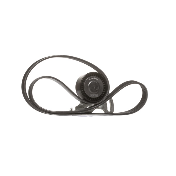 Juego de correas trapeciales poli V 8200292784 SKF VKMA 36036