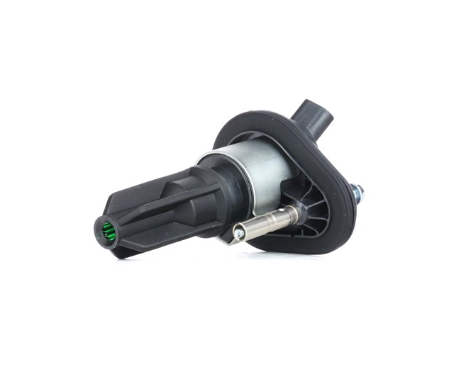 689C0349 RIDEX 028310 Zündspule