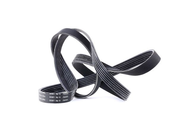 93181710 OE SKF Rebrasti jermen VKMV 6PK1800