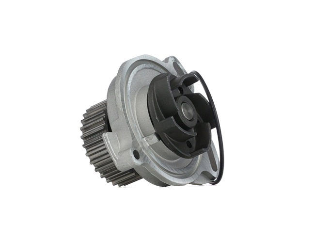 034121005D OE SKF Vandpumpe VKPC 81606