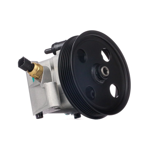 JP GROUP 1545104300 Bomba de dirección hidráulica Ford FOCUS 2020
