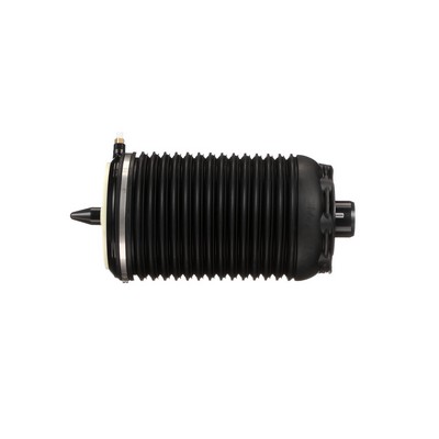 Arnott Luftbelg A-3327