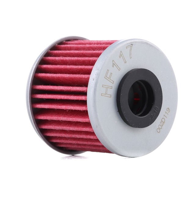 15412MGSD21 OE HifloFiltro Oil filter HF117