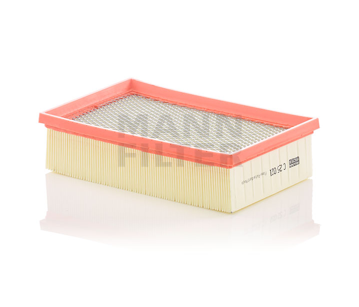 Acheter MANN-FILTER Filtre à air C 25 021