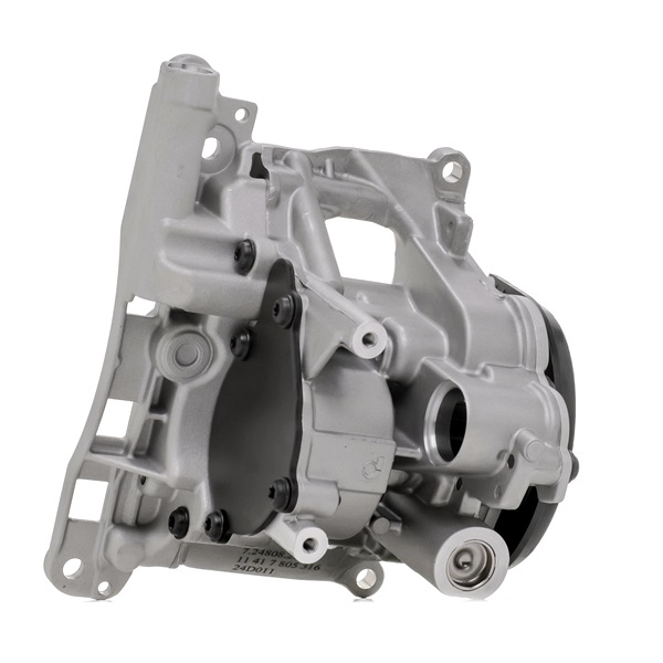 PIERBURG 7.24808.25.0 Вакуумный насос тормозной системы BMW 3 (E90) 330d 3.0 Дизель 211 л.с. 2009