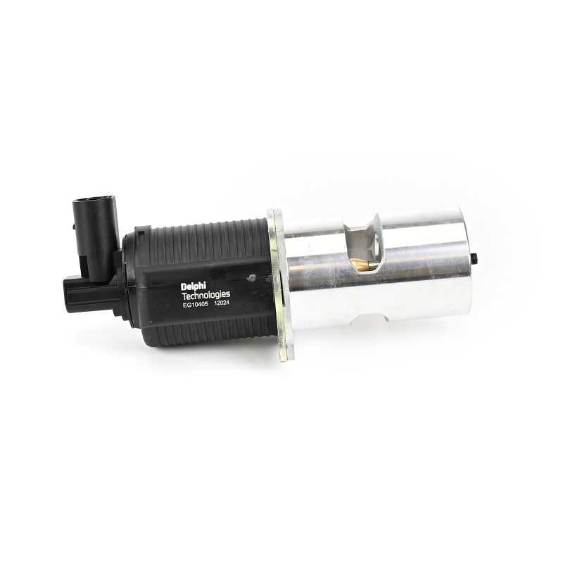 DELPHI AGR-Ventil EG10405-12B1