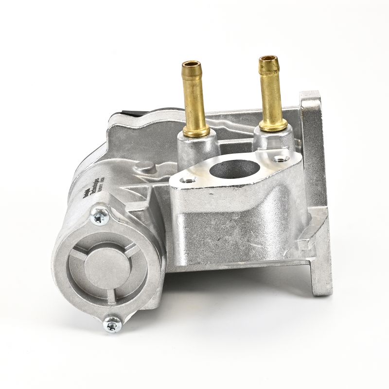 DELPHI AGR-Ventil EG10411-12B1