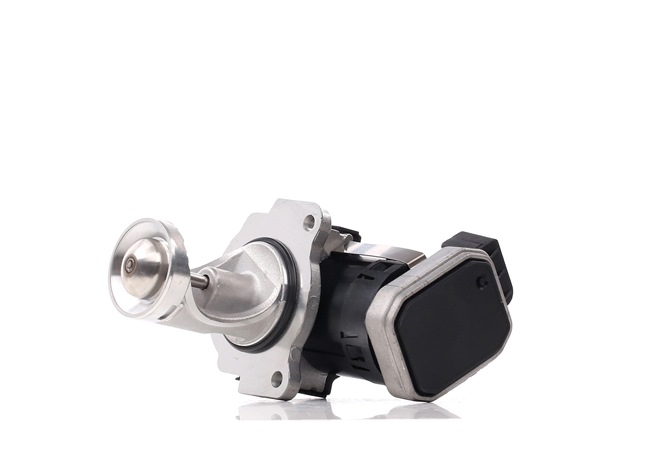 EGR-ventil DELPHI EG10431-12B1 som passar till VW, SEAT billigt