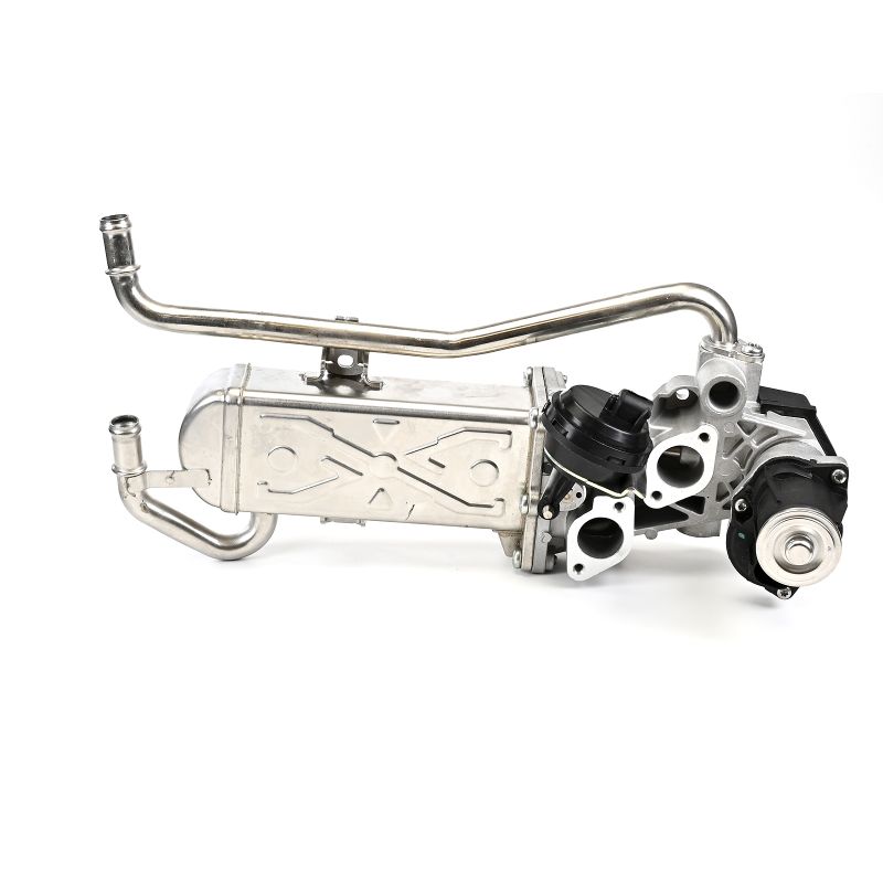 EGR Seat IBIZA 2012 EG1043212B1 DELPHI