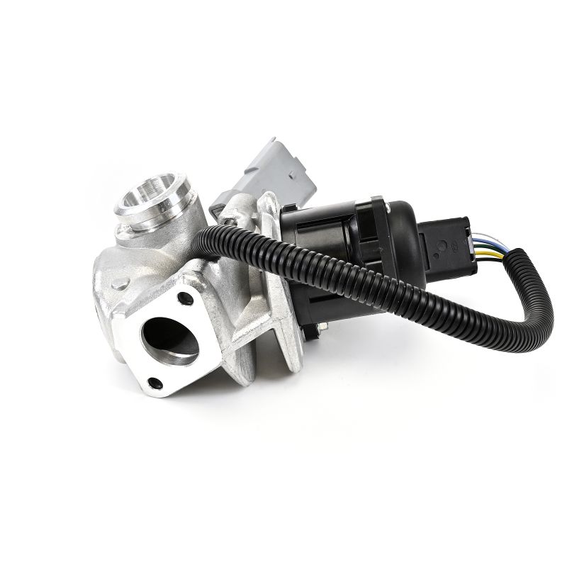 EGR-ventil DELPHI EG10435-12B1 som passar till VOLVO, FORD billigt
