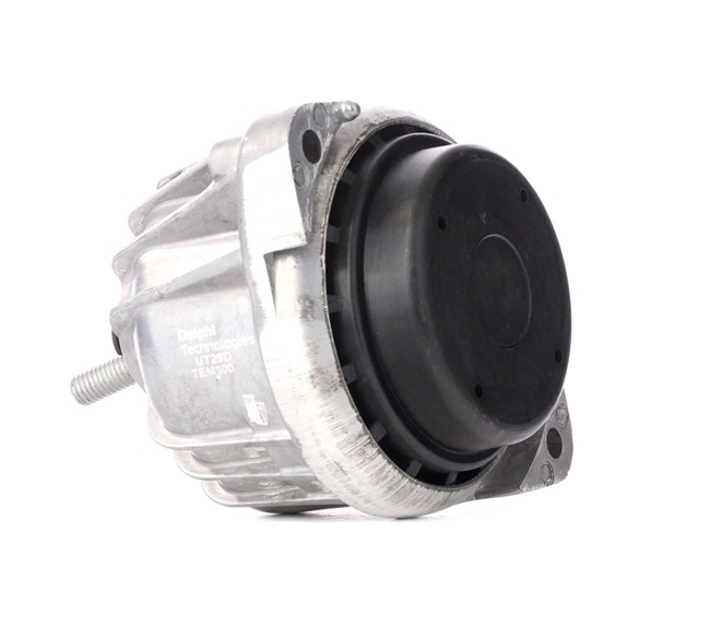 DELPHI TEM100 genuine BMW 3 Series engine mount rear and front price