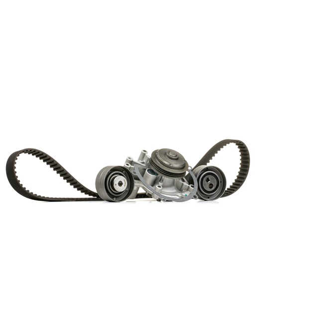 132011160004 Pompa dell'acqua e cinghia di distribuzione MAGNETI MARELLI JEEP COMPASS prezzo