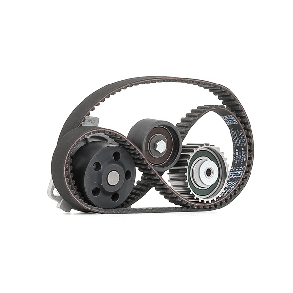 MAGNETI MARELLI 132011160053 Kit de distribution Fiat Stilo 192 1.8 16V (192AXC1A, 192BXC1A) Essence 133 CV 2006 prix