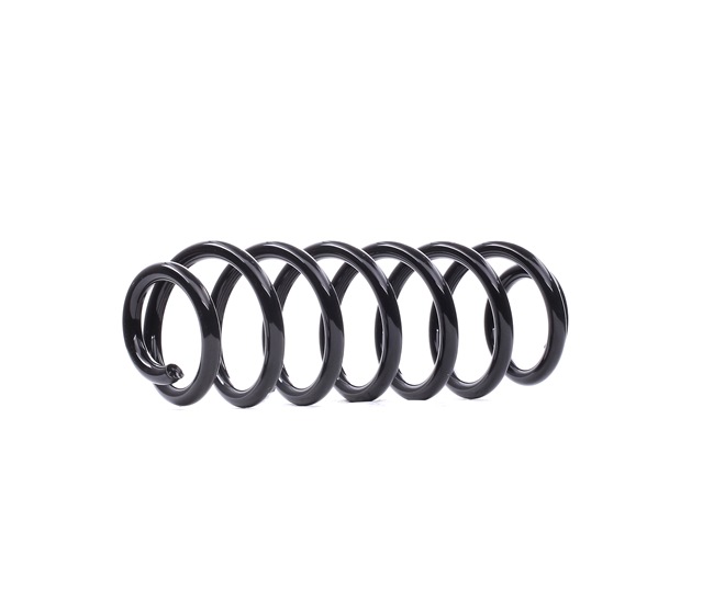 Costo molle ammortizzatori VOLKSWAGEN PASSAT EIBACH R10305
