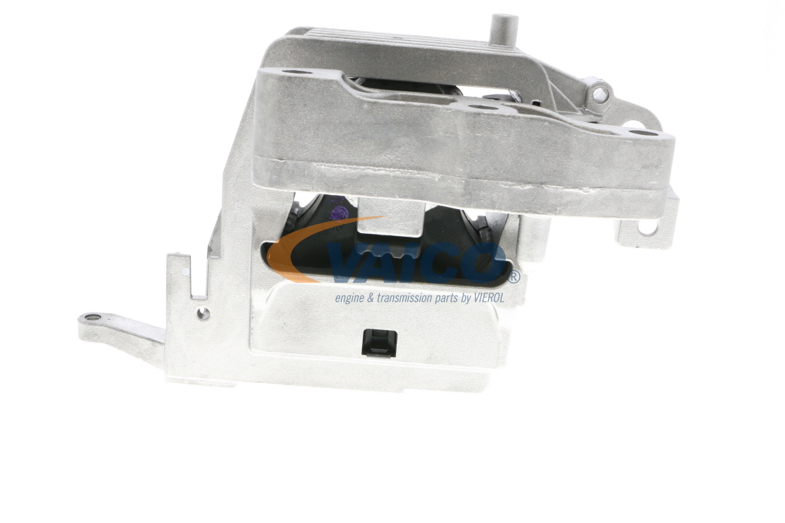 Spletna trgovina z VAICO Vlezajenje, motor V20-2523