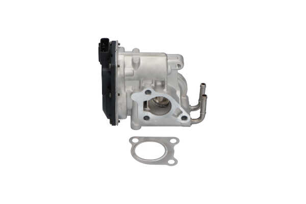 KAVO PARTS Válvula EGR EEG-9021