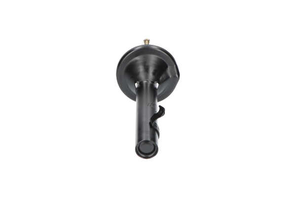 KAVO PARTS Shock absorber SSA-2018