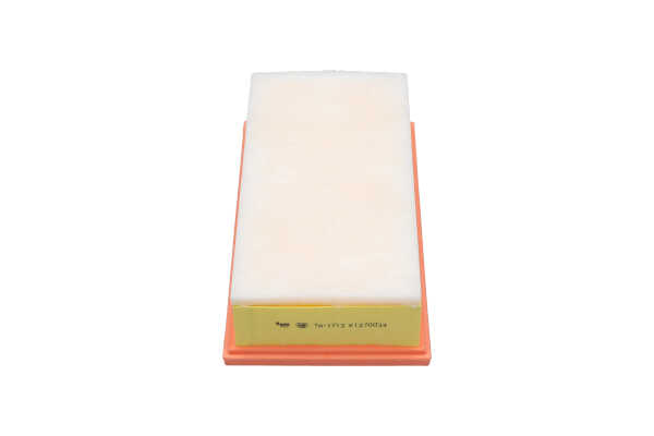 KAVO PARTS TA-1713 FIAT Scudo III Kastenwagen Luftfilter original kosten