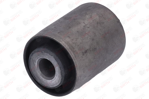 DA782561AE OE BIRTH Trailing arm / Suspension arm bush 2899