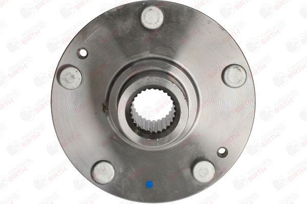 BIRTH 517502E100 Wielnaaf