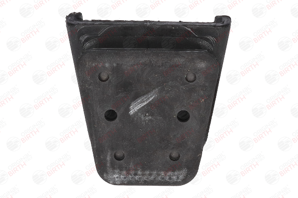 53162 BIRTH Parabolic leaf springs AUDI A6