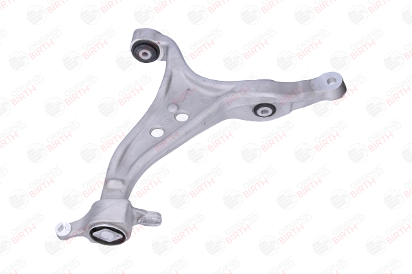 A1663300207 OE BIRTH Trailing arm / Suspension arm bush BR2420