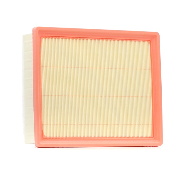 165460835R OE FILTRON Luftfilter AP 137/9