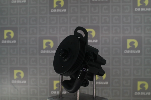 DA SILVA Stuurbekrachtigingspomp DP3550