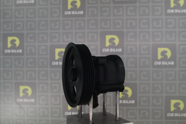 DA SILVA Stuurbekrachtigingspomp DP3553