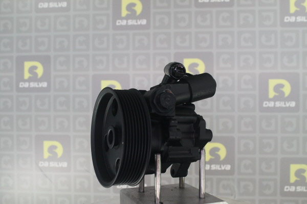 DA SILVA Stuurbekrachtigingspomp DP3567