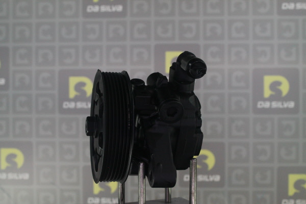 Servopumpe DA SILVA DP3623