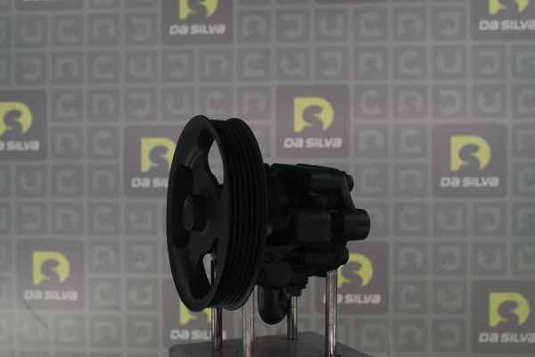 DA SILVA Servopumpe DP3635
