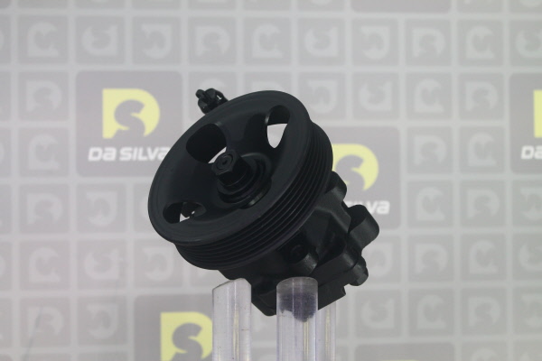 DA SILVA Servopumpe DP3648