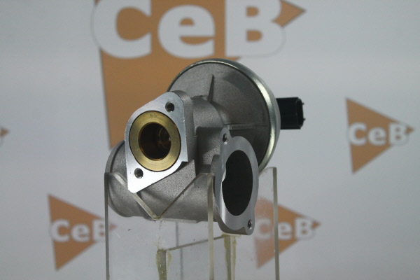DA SILVA EGR klep GR6160