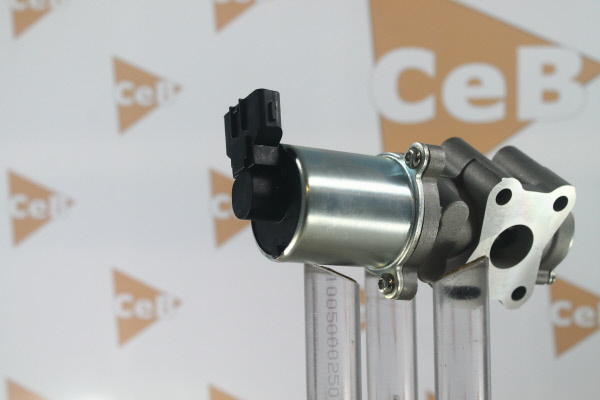 DA SILVA EGR klep GR6171