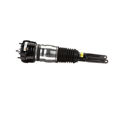 97034305110 OE Arnott Amortecedor pneumático AS-3036