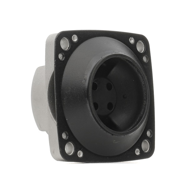 RIDEX 248M0002 Gearbox mount MERCEDES-BENZ M-Class (W164) ML 320 CDI 3.0 4-matic (164.122) Diesel 224 hp 2009 price