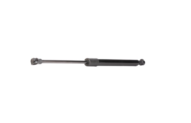 RIDEX 219G0871 Pistoncini portellone AUDI A4 Avant (8K5, B8) 3.0 TDI quattro Diesel 245 CV 2015 prezzo