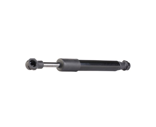 98751255101 OE RIDEX Amortecedor da mala 219G0875