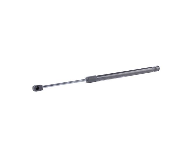 RIDEX 219G0890 Boot parts SUZUKI Swift III Hatchback (MZ, EZ) 1.3 (RS 413, ZC11S) Petrol 92 hp 2024 price