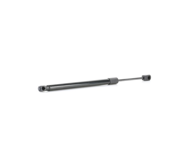 RIDEX 2W93F406A10AF Gasveer achterklep