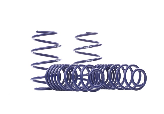 2013 FORD FIESTA Spring kit H&R 29317-1